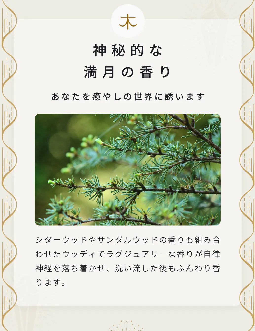 シダーウッドやサンダルウッドの香りも組み合わせたウッディでラグジュアリーな香りが自律神経を落ち着かせ、洗い流した後もふんわり香ります。